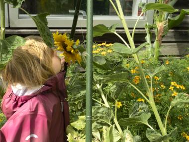 Barn dufter til blomst
